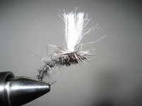Bifogad bild: klinkhammer_black.gif