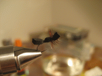 Bifogad bild: myra_foam.gif