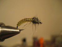 Bifogad bild: nymf_magicglass.gif