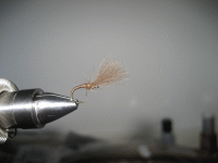 Bifogad bild: shuttlecock_buzzer_cdc.gif