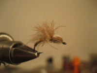Bifogad bild: klackare_CDC.gif