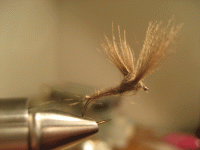 Bifogad bild: CDC_dun.gif