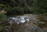 Bifogad bild: IMG_4724.jpg