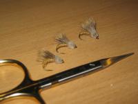Bifogad bild: IMG_7563.JPG