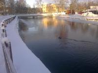 Bifogad bild: allt fr�s.jpg