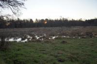 Bifogad bild: DSC00042.JPG