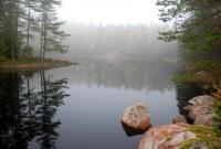 Bifogad bild: DSC_7863ny.jpg