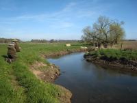 Bifogad bild: f064.JPG