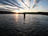 Bifogad bild: IMG_0672.jpg