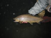 Bifogad bild: IMG_0640.jpg