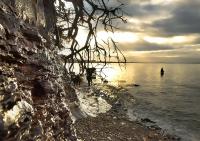 Bifogad bild: west_coast.jpg