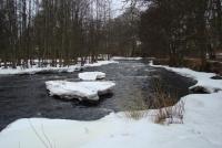 Bifogad bild: DSC07447_Medium.JPG