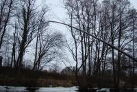 Bifogad bild: DSC07448_Medium.JPG