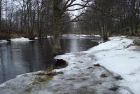 Bifogad bild: DSC07455_Medium.JPG