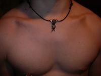 Bifogad bild: silversmycke1.jpg