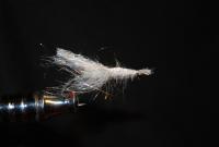 havs_ringsflugor_022.jpg