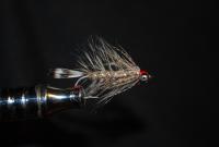 havs_ringsflugor_027.jpg