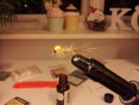Bifogad bild: 20120209_204151.jpg