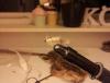 Bifogad bild: uploadfromtaptalk1328129607493.jpg
