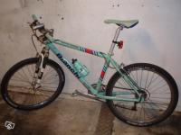 Bifogad bild: bianchi.jpg
