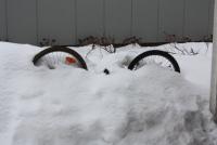 Bifogad bild: vinter_2010_015.jpg