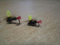 Bifogad bild: IMG_7479.JPG
