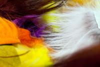 Bifogad bild: IMG_1096.jpg