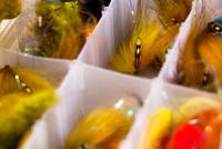 Bifogad bild: IMG_1042.jpg