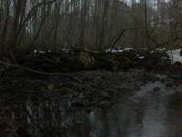 Bifogad bild: 20120317003.jpg