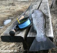 Bifogad bild: PICT0670.JPG