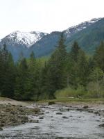 creek11.jpg