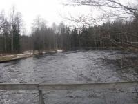 Bifogad bild: IMG_3341.JPG