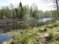 Bifogad bild: IMG_0438.JPG