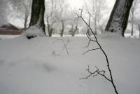 Bifogad bild: IMG_4514.JPG