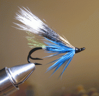 Bifogad bild: bluecharmbattreproportioner.gif