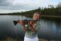 Bifogad bild: IMG_2422.JPG