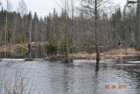 Bifogad bild: magge 2011 031.jpg