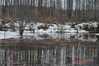 Bifogad bild: magge 2011 033.jpg
