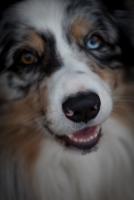 Bifogad bild: IMG_0025.jpg