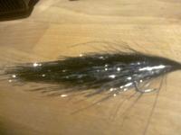 Bifogad bild: fine pike-fly.jpg