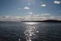 Bifogad bild: IMG_4451 (1024x683).jpg