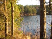 Bifogad bild: IMG_3738.JPG