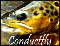 Conductfly.jpg