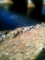 Bifogad bild: ImageUploadedByTapatalk1334266876.410590.jpg