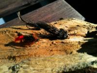 Bifogad bild: ImageUploadedByTapatalk1334271077.056470.jpg