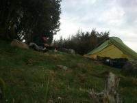 Bifogad bild: DSC_0447.JPG