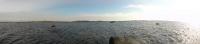Bifogad bild: DSC_0434.JPG