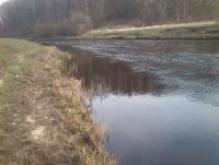 Bifogad bild: DSC_0393.JPG