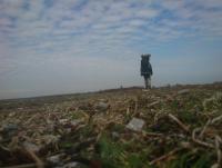 Bifogad bild: DSC_0450.JPG