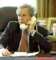 Bifogad bild: Bush.jpg